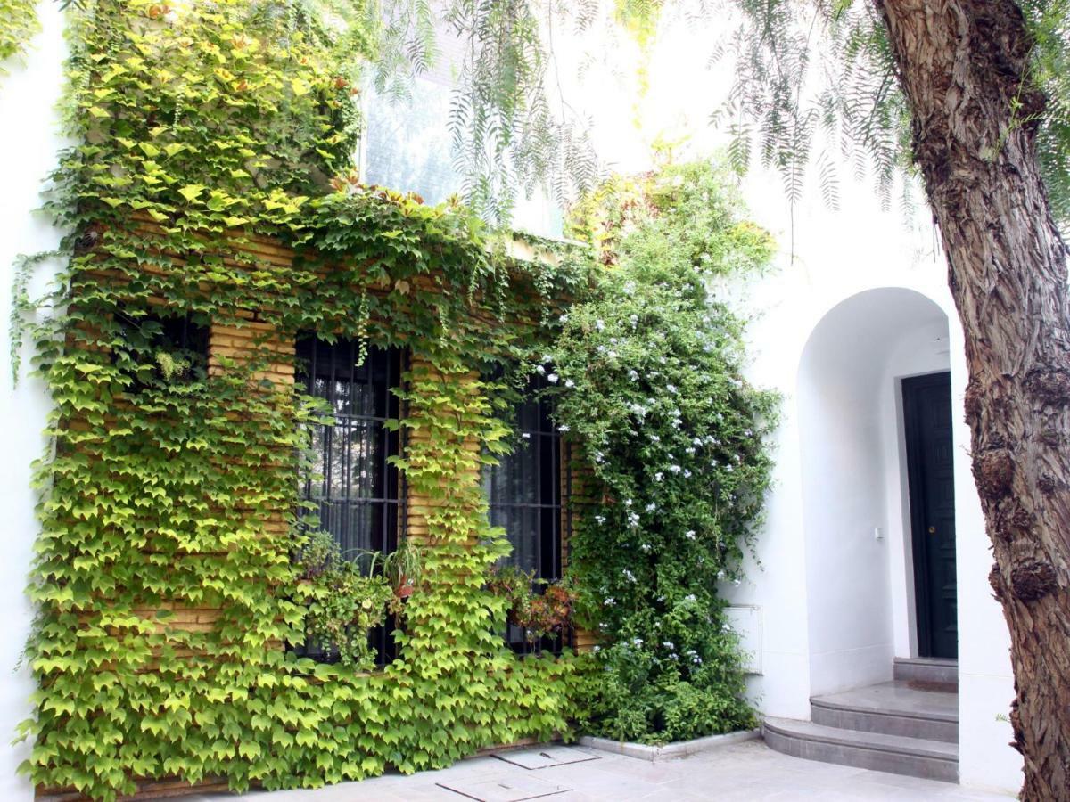 Apartment Saavedra Free Parking Center